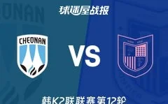 中国制造队以另一种方式参加世界杯