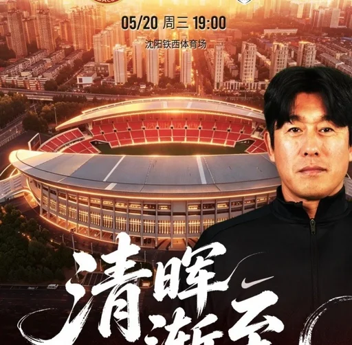 中国制造队以另一种方式参加世界杯