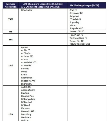 国安、蓉城、海港、申花、玉昆、浙江获亚冠精英/二级联赛准入